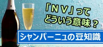 「ＮＶ」って、どういう意味？シャンパーニュの豆知識