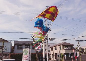 まり木綿・山盛酒造　コラボWS　はためくてぬぐい