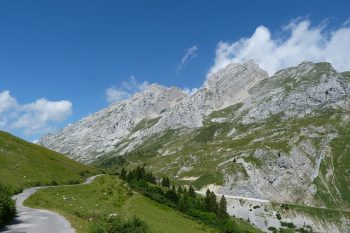 自然派ワイン　フランス　サヴォワ