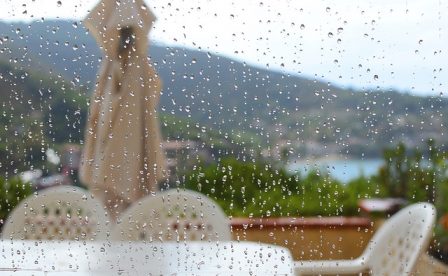 自然派ワイン　名古屋　雨