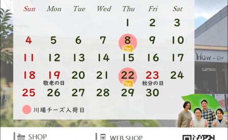 自然派ワイン専門店ハウディ　営業カレンダー2022.9